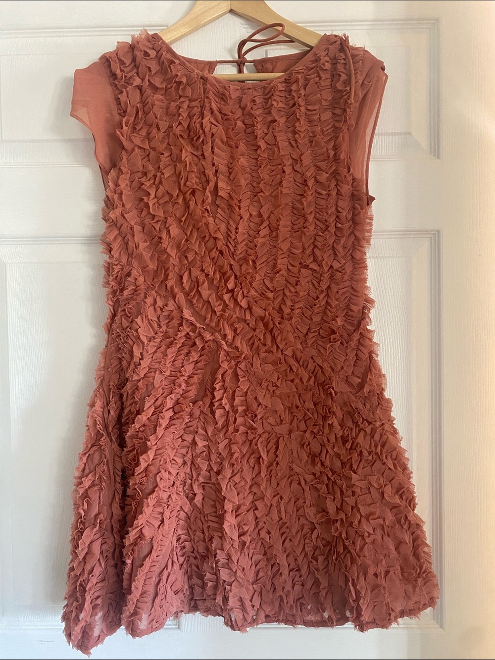 ASOS Rust Ruffle Mini Dress